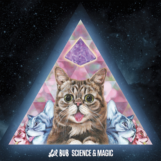 Jukebox Jury: Lil BUB Lets Us Know Which Famous Feline Songs Are the Cat's Meow