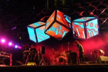Animal Collective