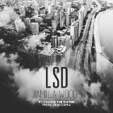 Jamila Woods and Chance the Rapper Dedicate New Song 'LSD' to Chicago's Lake Shore Drive