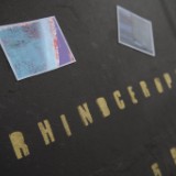 Rhinoceropolis, Denver DIY Venue, Shut Down