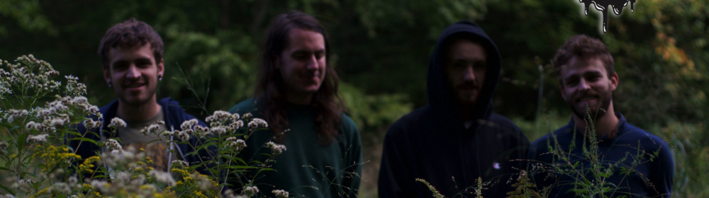 In 2016, Emo Entered Another Green World