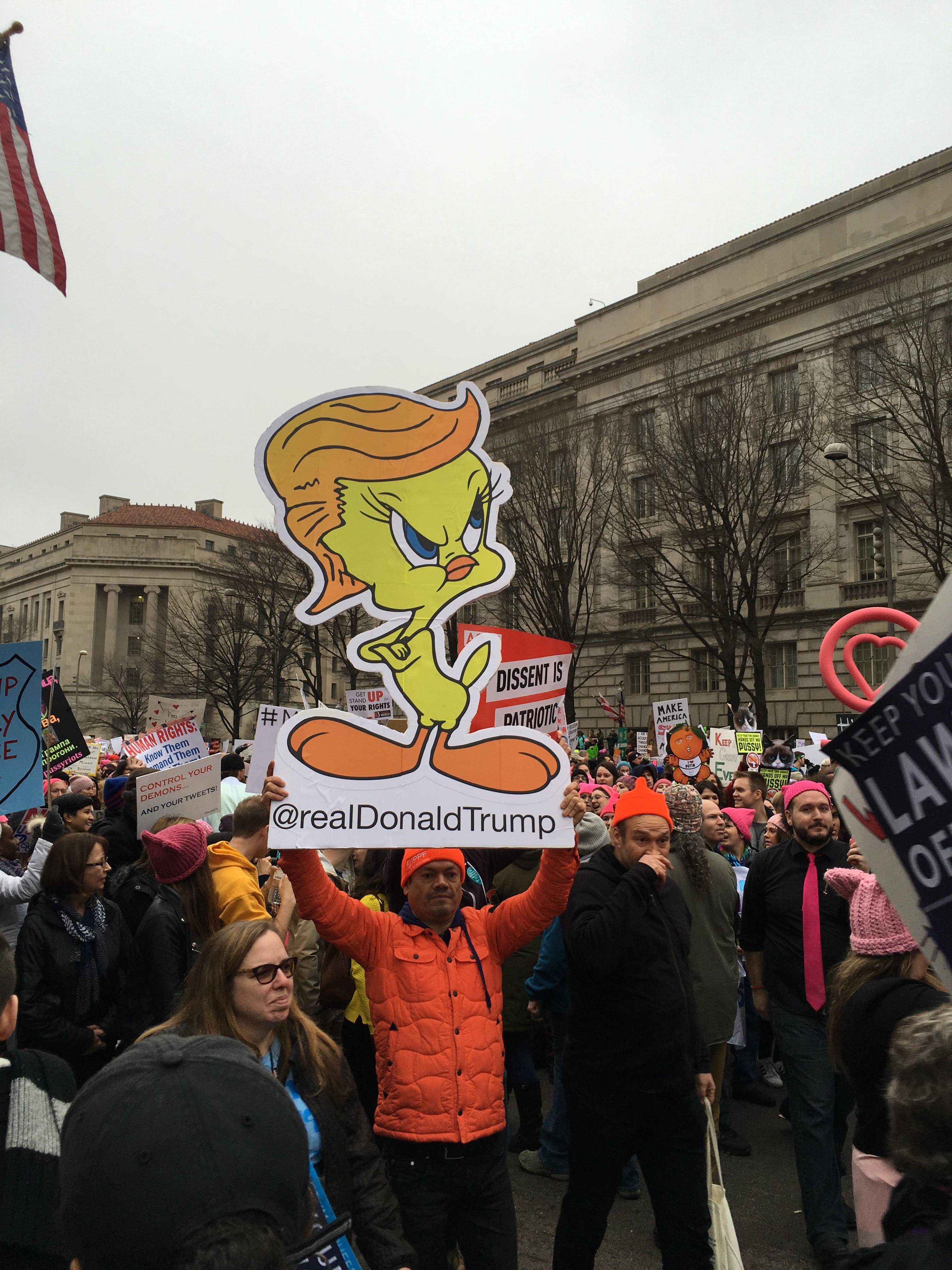 These Are the Best Protest Signs We Saw at the Women's March on Washington and New York