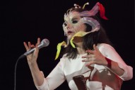 Björk Talks <i>Volta</i> In Our 2007 Interview