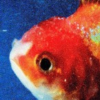 Review: On the Excellent <i>Big Fish Theory</i>, Vince Staples Bleeds Onto the Dance Floor