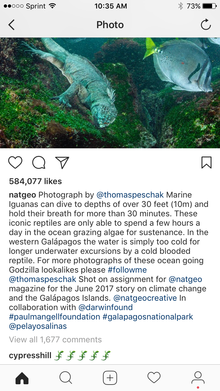 Cypress Hill's Awestruck Comments Keep Showing Up on <i></noscript>National Geographic</i>‘s Instagram” title=”CP6-1500307821″ data-original-id=”249669″ data-adjusted-id=”249669″ class=”sm_size_full_width sm_alignment_center ” data-image-source=”getty” />
<p>There are some exceptions: I found blink-182 commenting a black heart emoji on a photo of a Mako shark. Still, scroll back a few weeks—<em>National Geographic</em> publishes a lot—and it’s all Cypress Hill.</p>
<p>It should be noted that Cypress Hill have rapped a lot about smoking weed—they’ve even gotten into <a href=