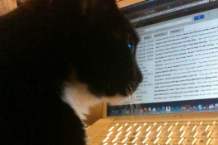 Searching for meaning in an RSS feed