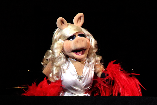 Missy Piggy / Photo by Paul Zimmerman/Getty