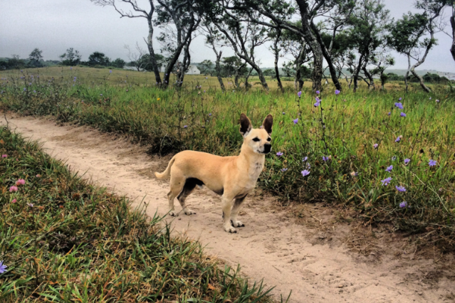 Photo by Serena Haller