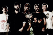 Foals
