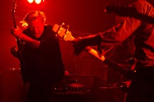 Swans / Photo by Rebecca Smeyne