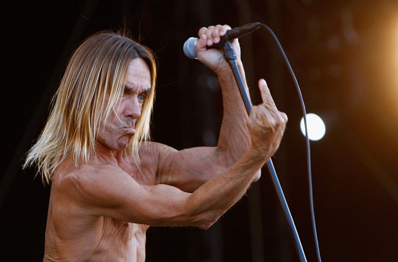 iggy pop asshole rules the navy