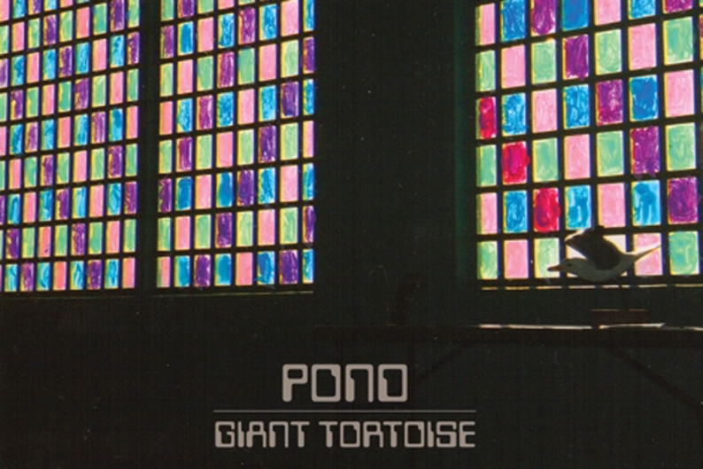 pond, giant tortoise, hobo rocket