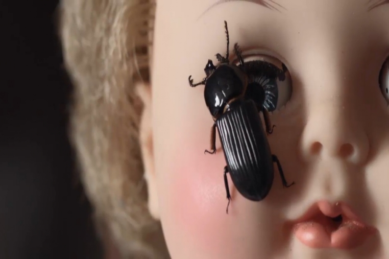 Majical Cloudz, "Bugs Don't Buzz," video