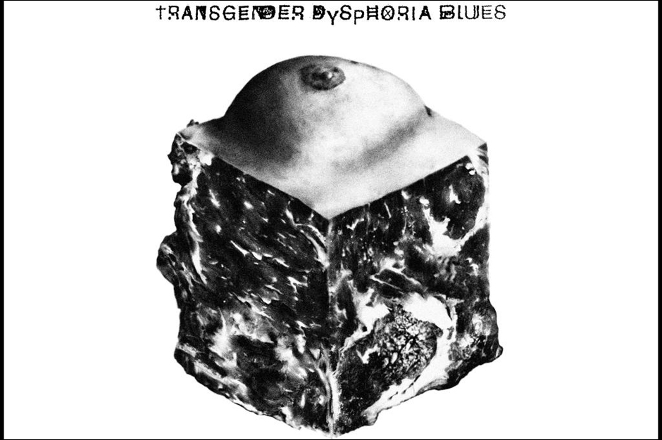 Against Me! Transgender Dysphoria Blues Cover NSFW Track List