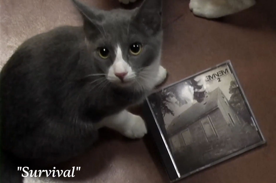 Eminem The Marshall Mathers LP 2 Review Kittens