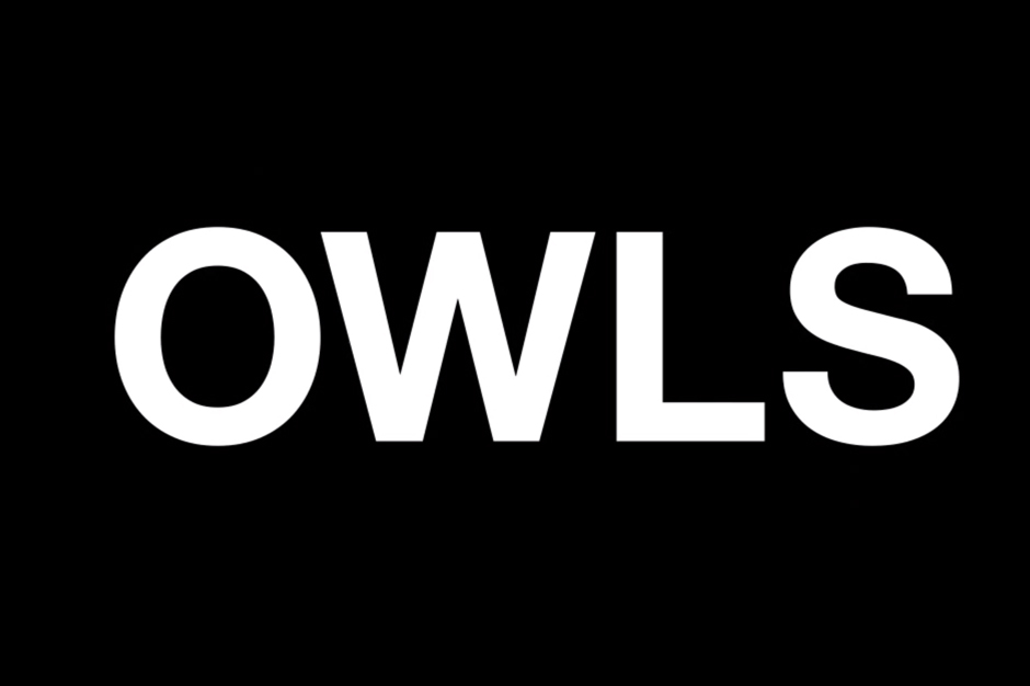 owls, new album, teaser