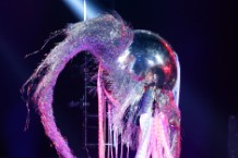 Bonnaroo 2014 Video Flaming Lips Ben Folds Announcement