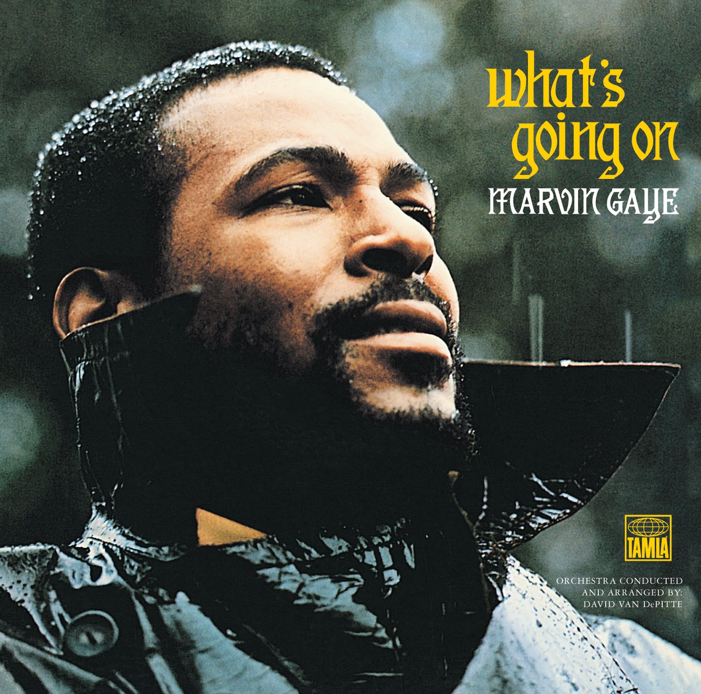 Marvin Gaye What's Going On album cover