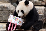 Judge Rules That ‘Happy Birthday to You’ Is Public Domain