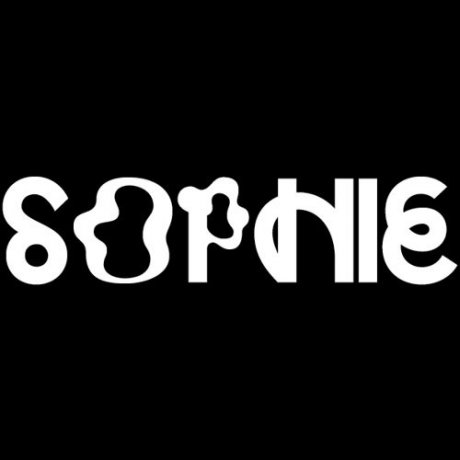 SOPHIE, Avant-Pop Producer, Dies at 34