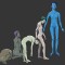 Willow-ARDIPITHECUS