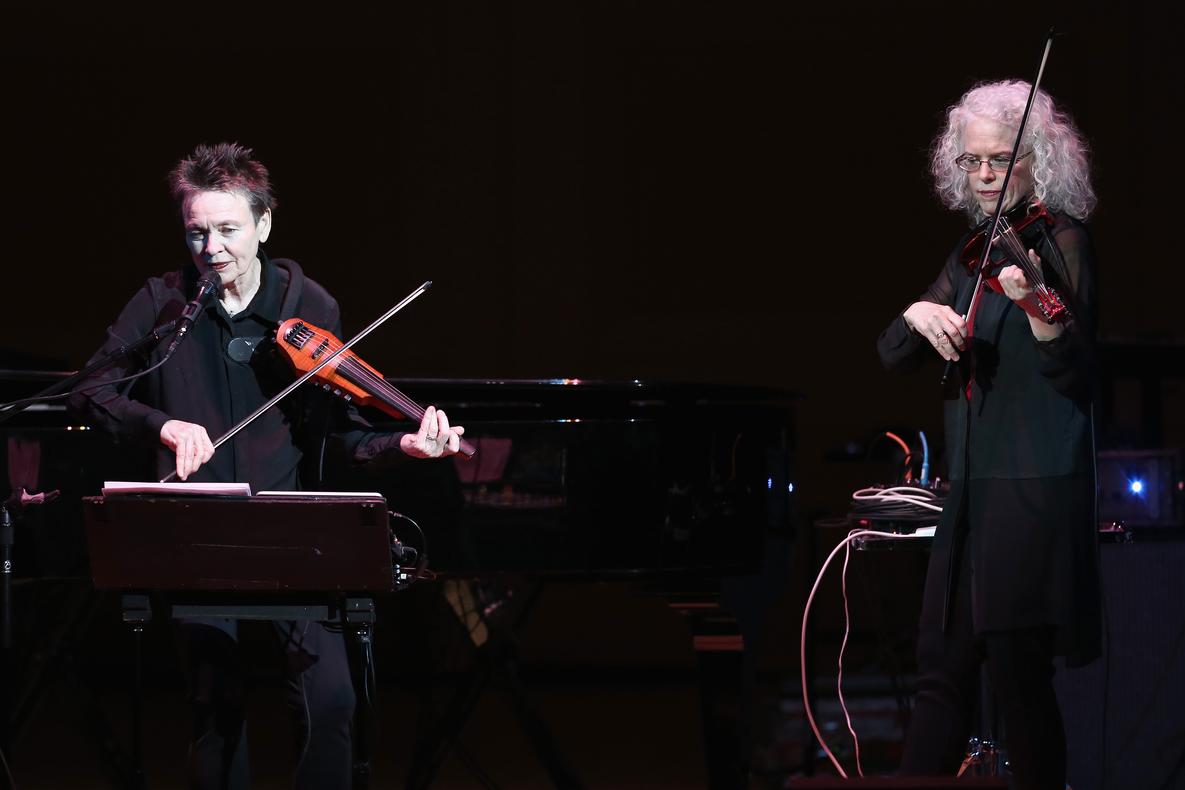 Laurie Anderson at the Tibet House Benefit Concert 2015