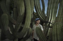 sau-poler-esperits-track-premiere-stream