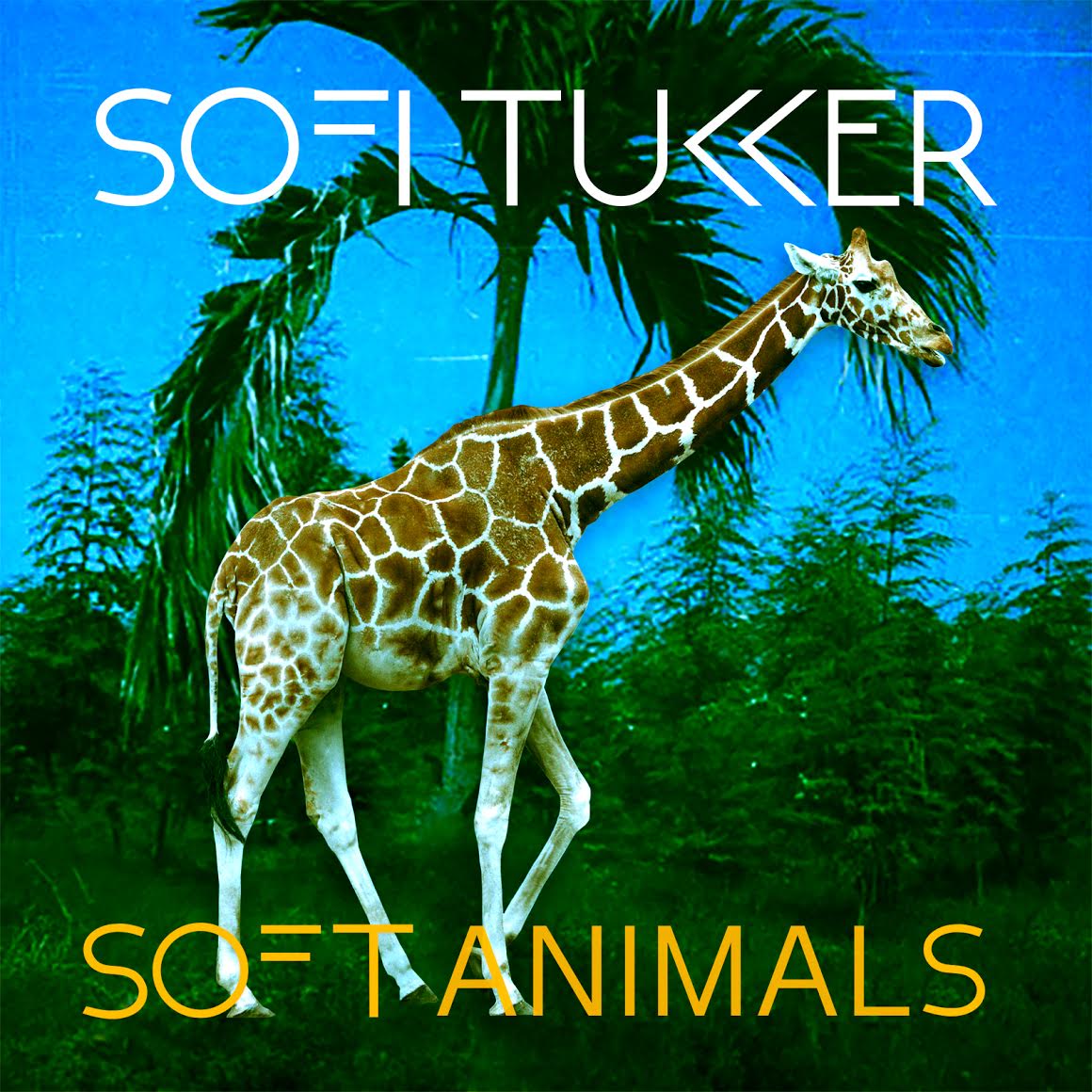 A Day In The Life of... SOFI TUKKER