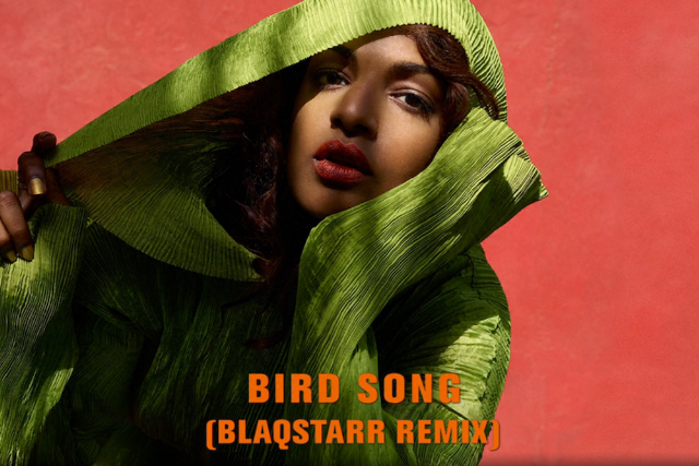 MIA Bird Song