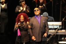 Prince: The Official Prince Tribute A Celebration Of Life And Music