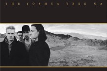 fe8312d93913372547b91f448449719b-joshua-tree-LEAD