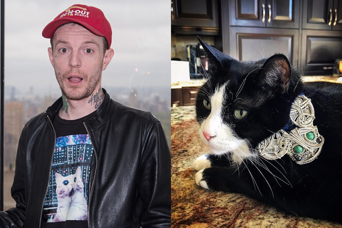 Deadmau5 Wants to Trademark His Cat's Name