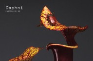 Stream Daphni’s <i>Fabriclive 93</i>, Which Is Full of New Music From Dan Snaith