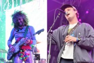 Wayne Coyne Announces Mac DeMarco/The Flaming Lips Split EP