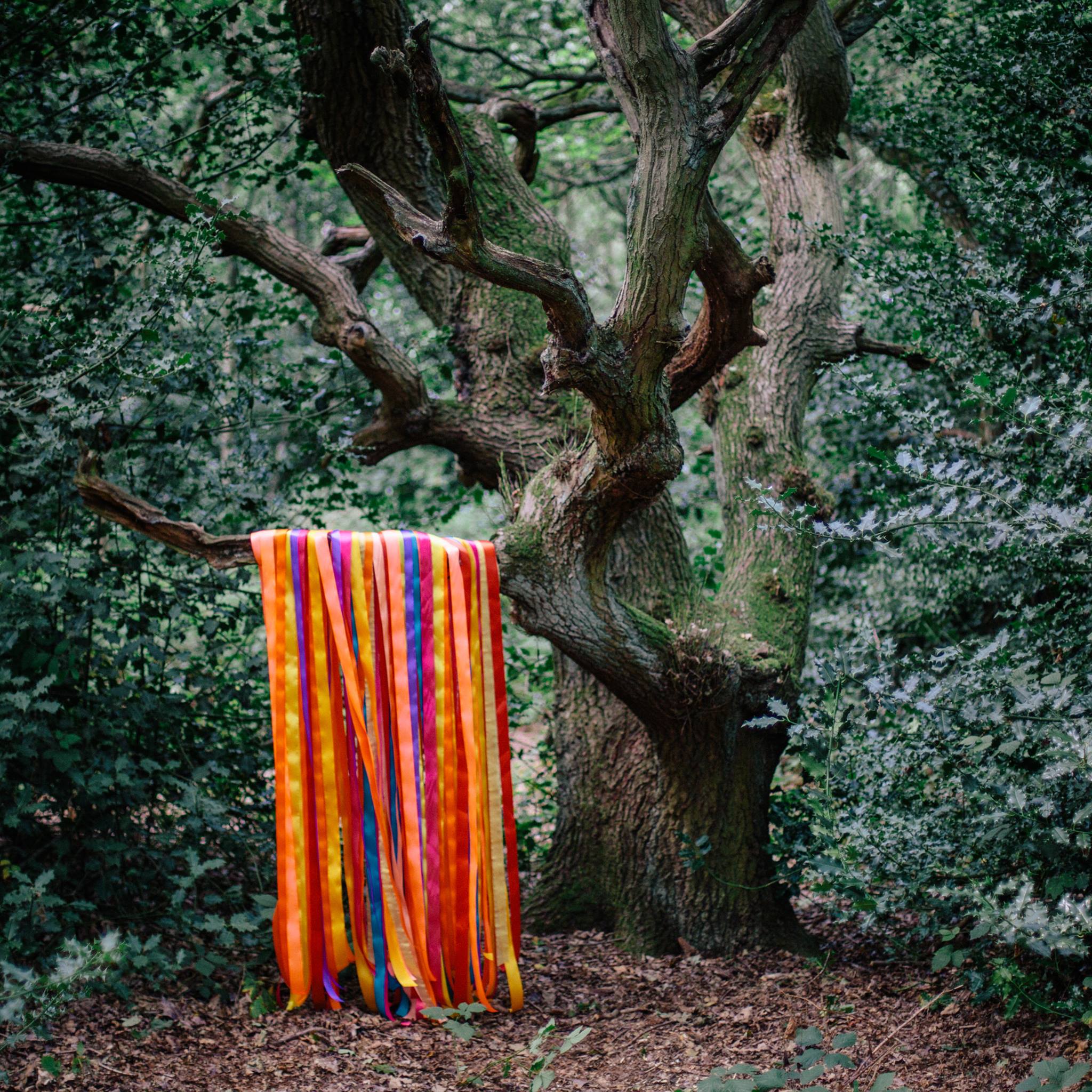 James Holden Embarks on New Album With Wild Synth Jam 'Gone Feral'