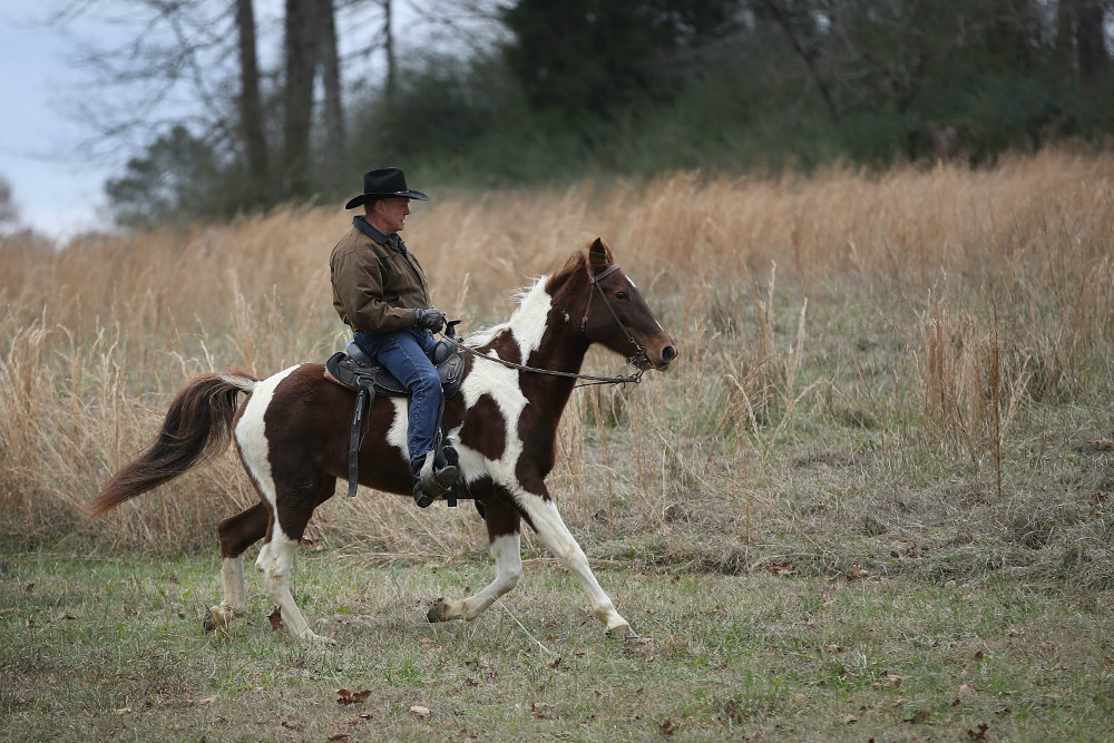 Roy Moore is bad at riding horses