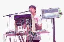 panda bear animal collective coachella