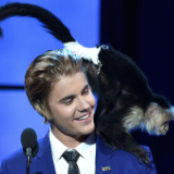 German Zoo Says Justin Bieber's Illegal Monkey 