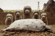 Screen-Shot-2018-02-06-at-12.50.03-PM-1517939444