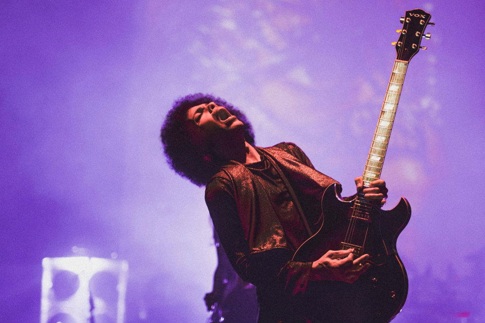 Prince Toxicology Report Released