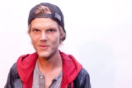 Listen to Steve Aoki, Tiesto, and Kaskade Discuss Avicii’s Legacy