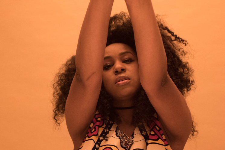 Afropunk Brooklyn 2019 Lineup