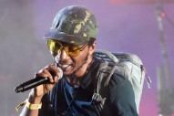 Del the Funky Homosapien Remains Hospitalized After Gorillaz Stage Fall