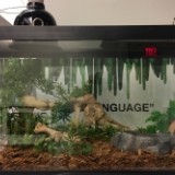 Now We Have to Take Care of This Snake