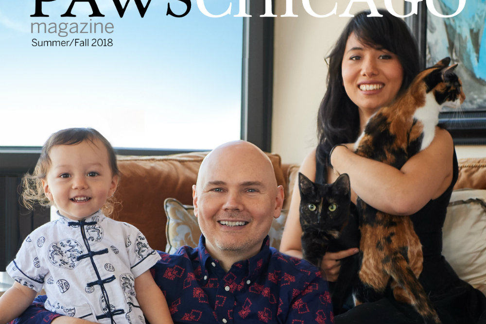 Billy Corgan's Family and Cats on the PAWS Chicago Cover