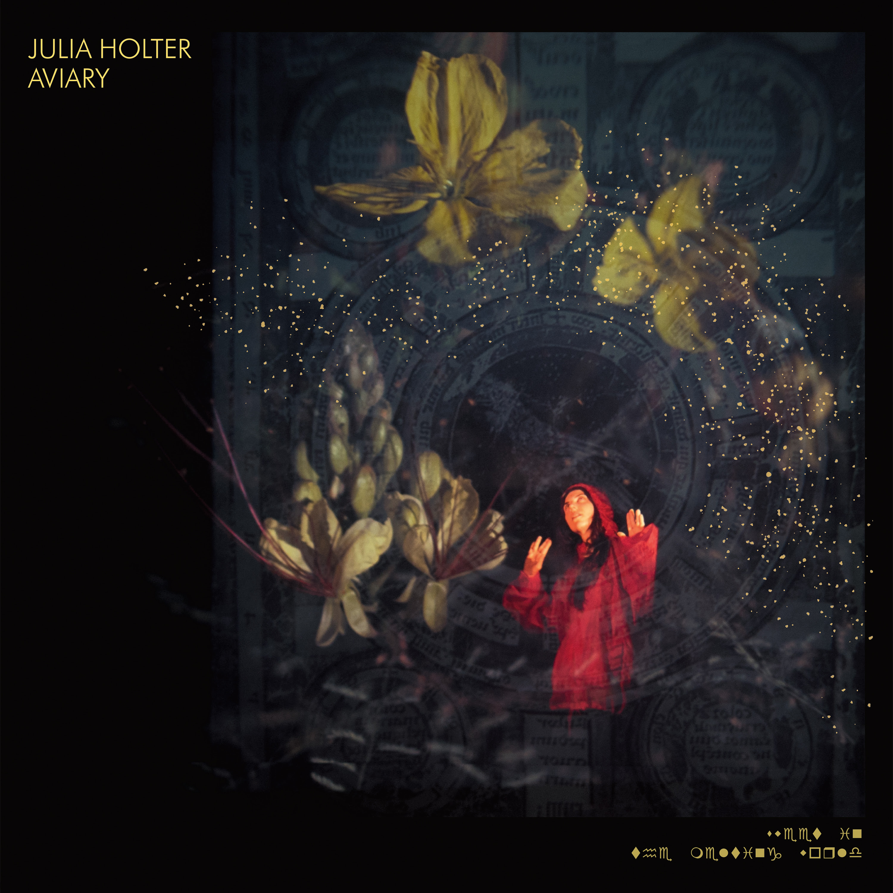 julia holter aviary cover