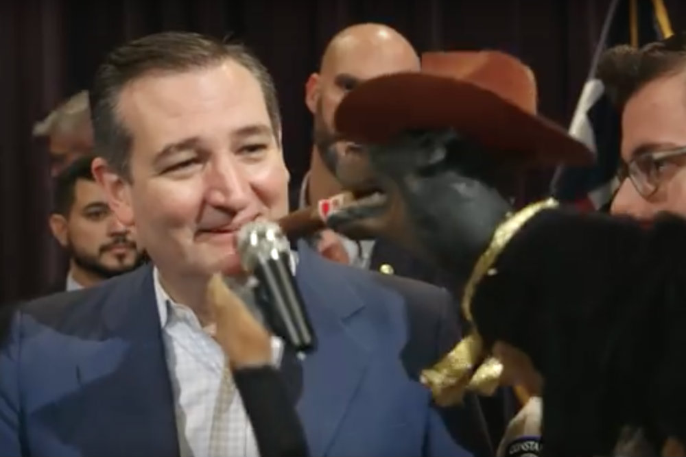 Triumph the Insult Comic Dog Roasts Ted Cruz for 'The Late Show with Stephen Colbert'