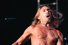 iggy-pop