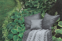 Pile-Green-and-Gray-album-cover