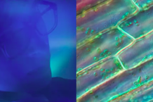 Screen-Shot-2019-04-08-at-10.42.13-AM-1554734952